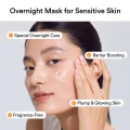 Abib Rice Probiotics Overnight Mask Barrier Jelly - Hydrating Sleeping Pack 80ml 7