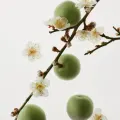 Beauty of Joseon Green Plum Refreshing Cleanser (100ml) - Low pH Gel Wash 2