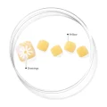 OHORA P Sun Daisy Semicured Gel Pedi - Yellow Floral DIY Pedicure Strips 5