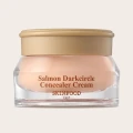 SKINFOOD Salmon Darkcircle Concealer Cream 01 Blooming - Under-Eye Brightening  1
