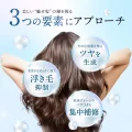 HIRITU Balance Repair Shampoo Aurora 410ml - Balanced Care for Radiant Hair 3