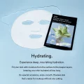 Abib Gummy Sheet Mask Sedum Hyaluron Sticker - Hydrating Face Mask (10 Pack) 9