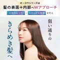 HIRITU Balance Repair Shampoo Aurora 410ml - Balanced Care for Radiant Hair 4