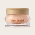 SKINFOOD Salmon Darkcircle Concealer Cream 00 Light - Brightening Eye Coverage 1