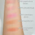 ETUDE Lovely Cookie Blusher PK002 Grapefruit Jelly Soft Powder Blush 8