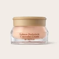 SKINFOOD Salmon Darkcircle Concealer Cream 02 Beige - Under Eye Brightener  1